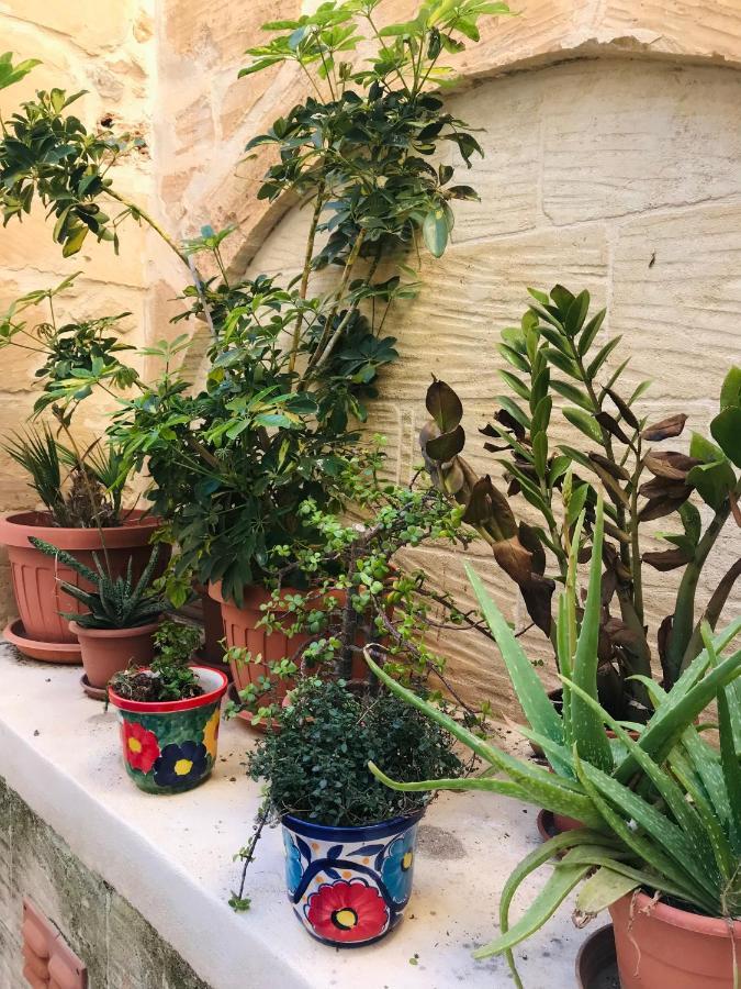 250 Yo Tal-Bambinu Boutique Farmhouse Xagħra Exterior foto